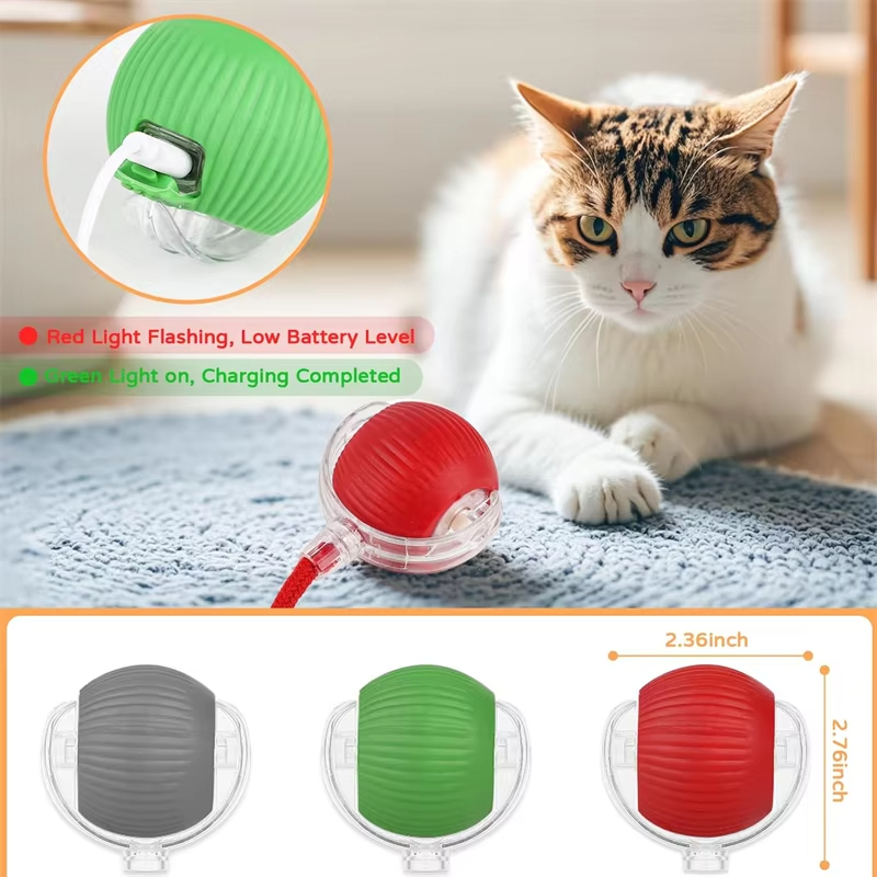 New Cat Interactive Ball Toy A - đánh giá và giá Power Tools Cat