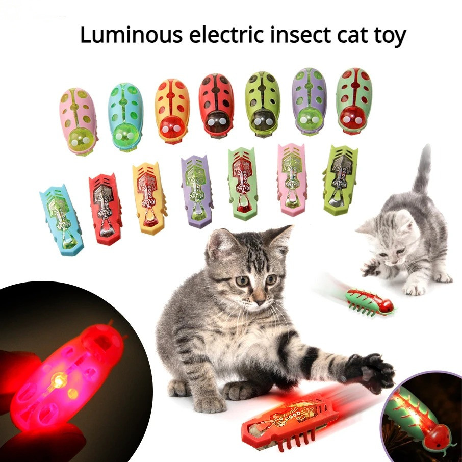 Cat Toys Light-up Electric Wor - đánh giá và giá Power Tools Cat