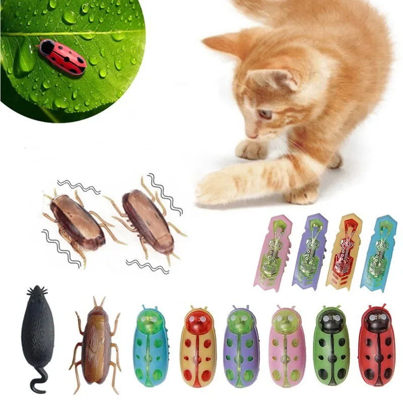Funny Electric Bugs Catnip Toy - đánh giá và giá Power Tools Cat