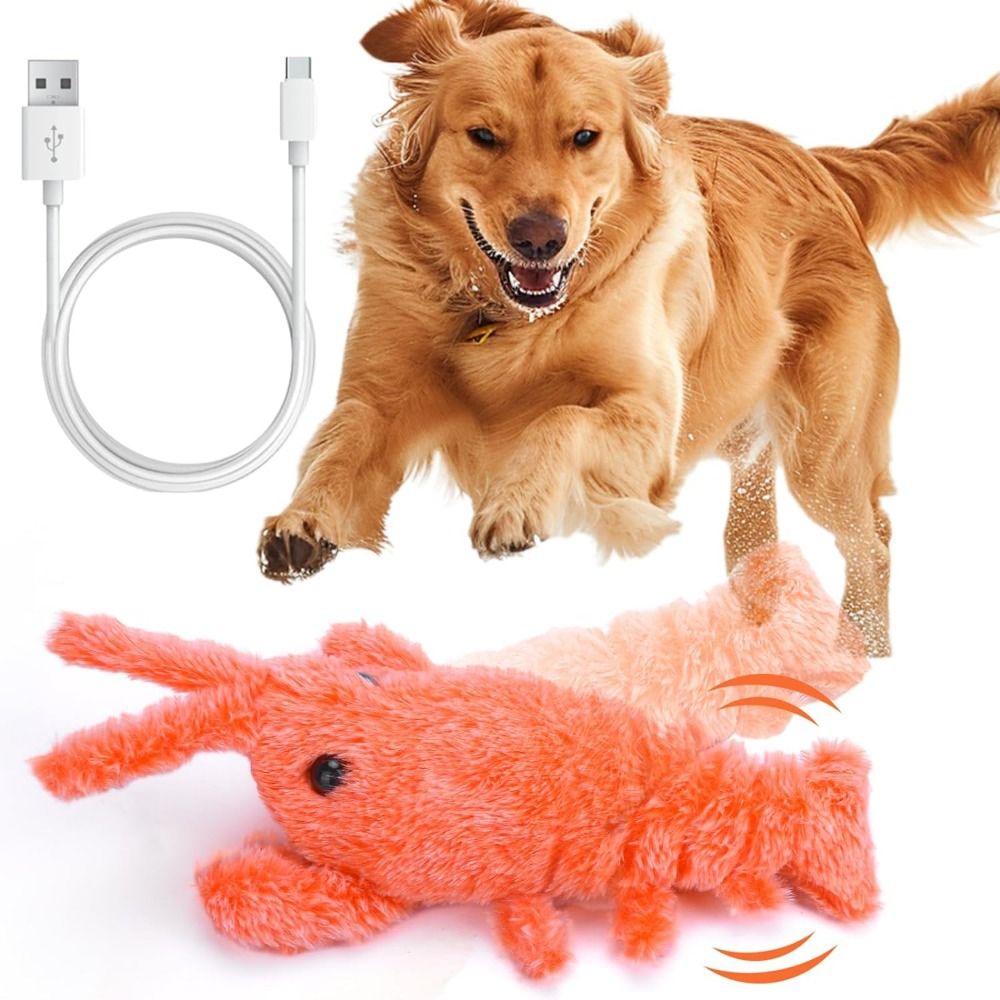USB Charging Lobster Cats Toy  - đánh giá và giá Power Tools Cat